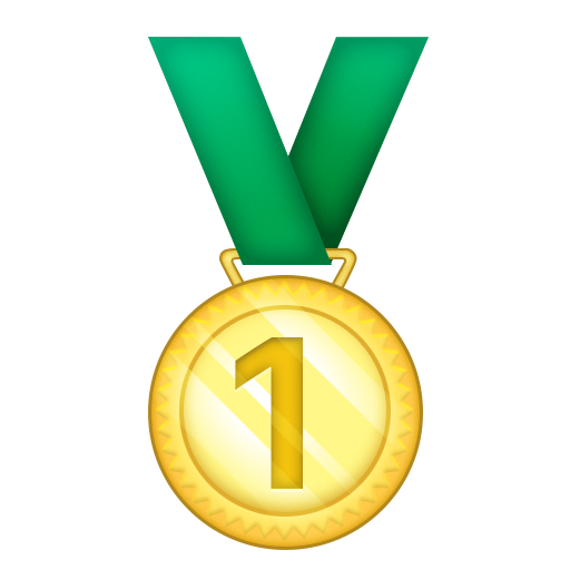 1st Place Medal