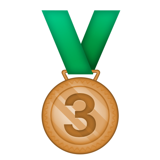3rd Place Medal