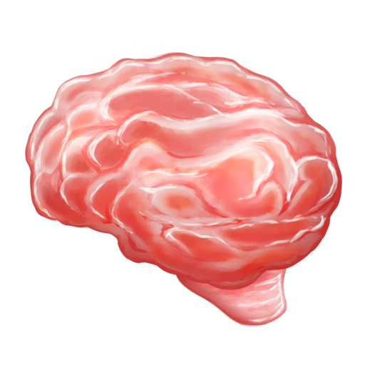 Brain