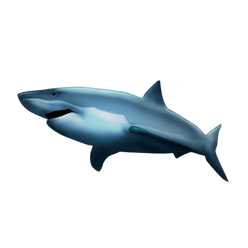 Shark