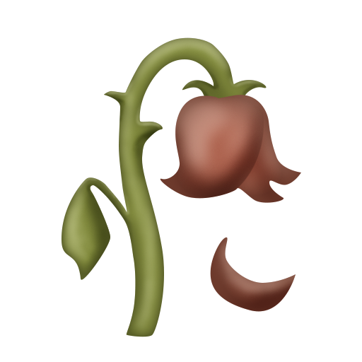 Wilted Flower