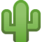 Cacto