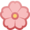 Flor De Cerejeira