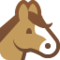 Rosto De Cavalo