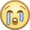Rosto Chorando Aos Berros
