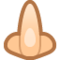 Nariz