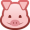 Rosto De Porco