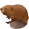 Castor
