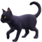 Gato Preto