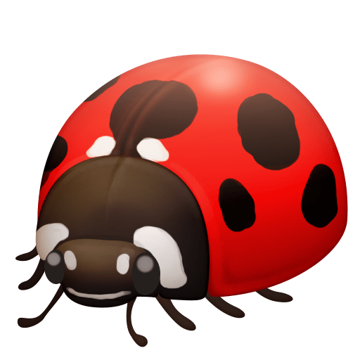 Joaninha