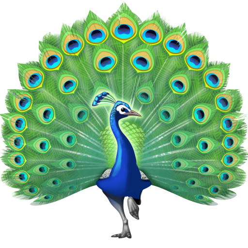 Pavão