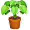 Vaso Com Planta