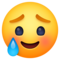 Rosto Sorridente Com Lágrima