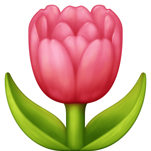 Tulipa