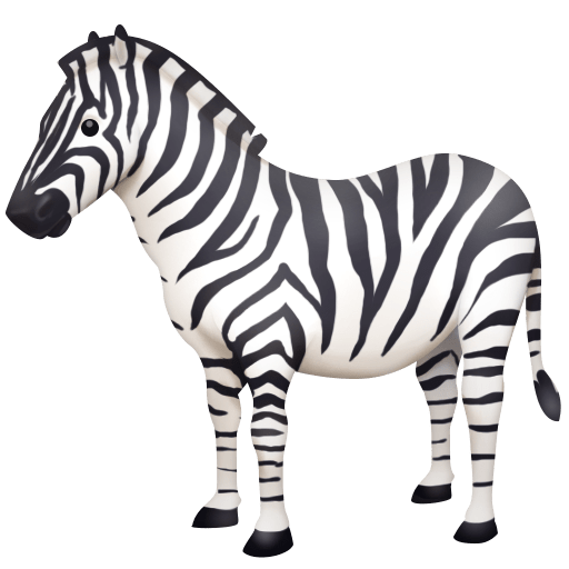 Zebra