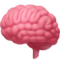 Cerveau