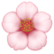 Fleur De Cerisier