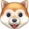 Tête De Chien