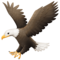 Aigle