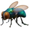 Mouche