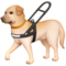 Chien Guide