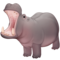 Hippopotame