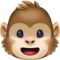 Tête De Singe