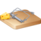 Tapette À Souris