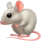 Souris