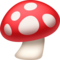 Champignon