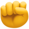 Poing Levé