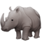 Rhinocéros