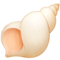Coquillage En Spirale