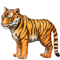 Tigre