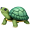 Tortue