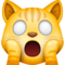 Chat Épuisé