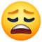 Visage Épuisé
