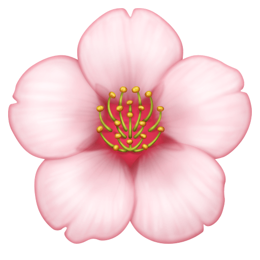 Flor De Cerejeira