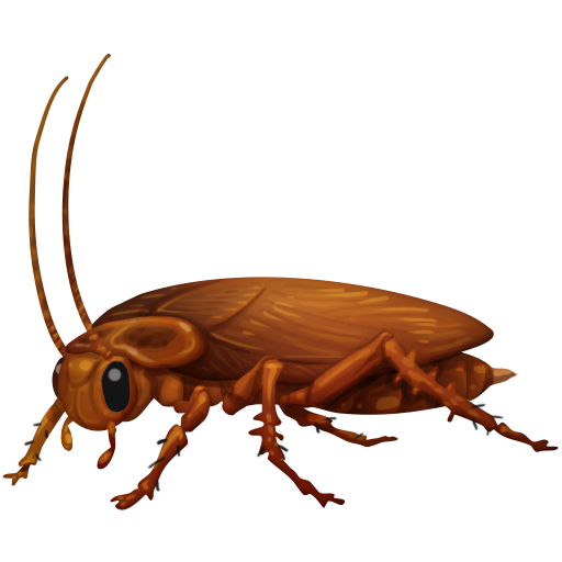Barata
