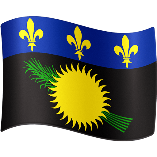 Bandeira: Guadalupe