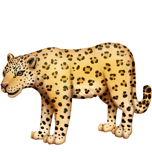 Leopardo