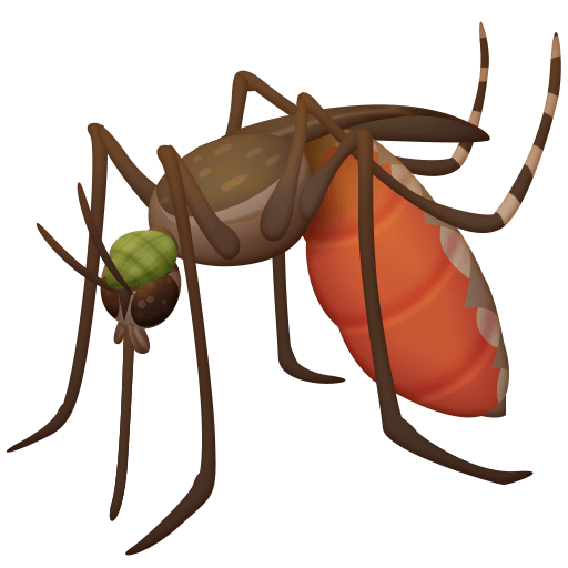 Mosquito