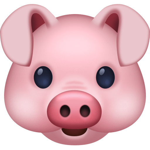 Rosto De Porco