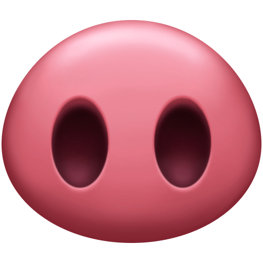 Nariz De Porco