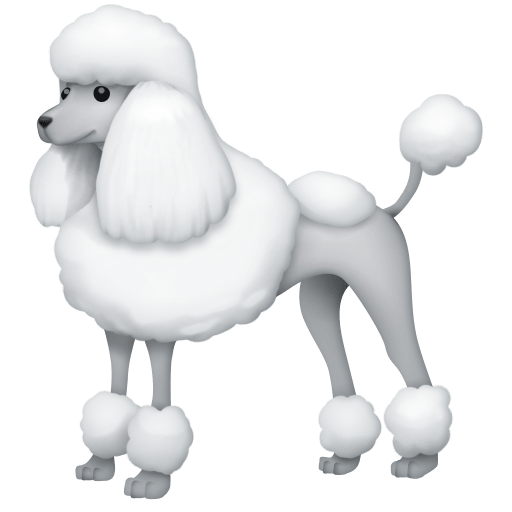 Poodle
