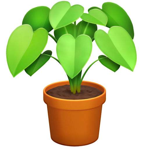Vaso Com Planta