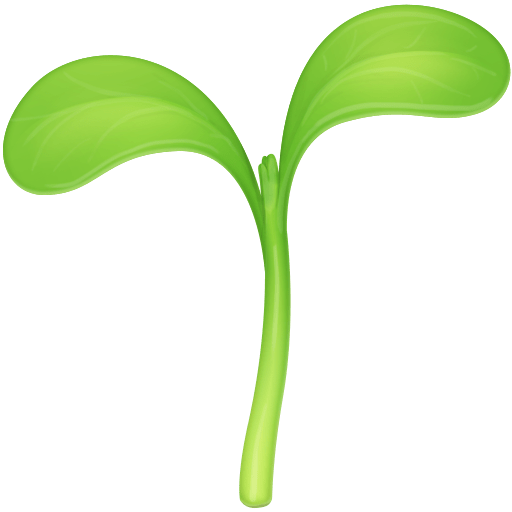 Muda De Planta