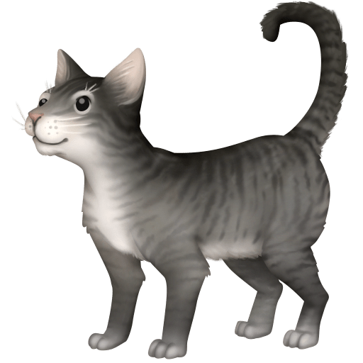 Кішка для Facebook 15.0