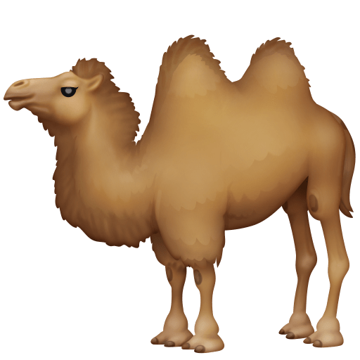 Двогорбий верблюд для Facebook 15.0
