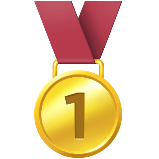 1st Place Medal for Facebook 16.0